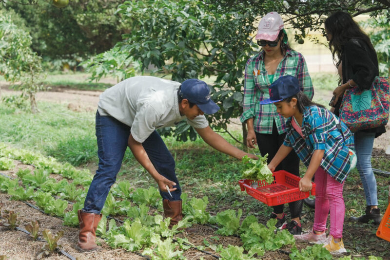 Agroécologie et souveraineté alimentaire en Bolivie
